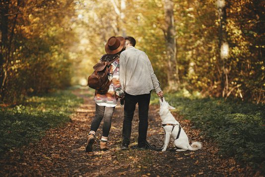 Haus-Familie-Wohnen-Garten-Land-Serie-31-11